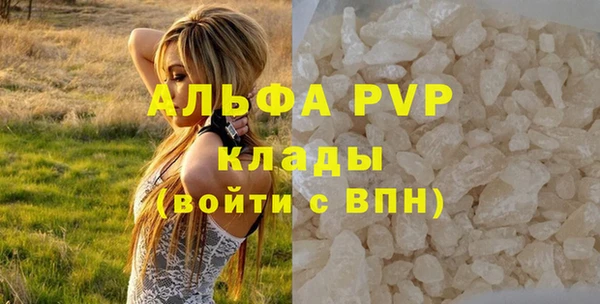 ешки Пересвет