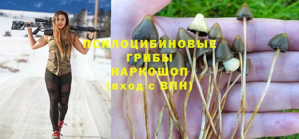 Альфа ПВП Дедовск