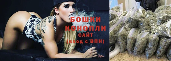 ешки Пересвет