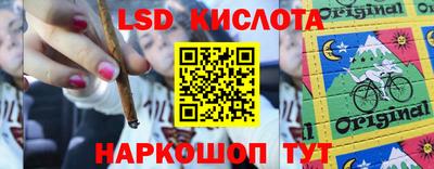 дживик Кимры