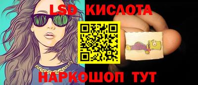 мдпв Кингисепп