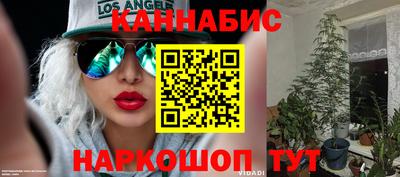 дживик Кимры