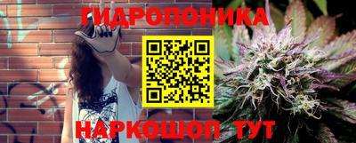 мдпв Кингисепп
