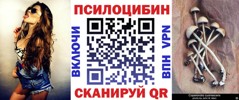 Псилоцибиновые грибы мицелий  где можно купить   Родники 