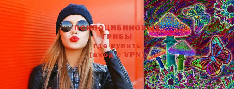 Галлюциногенные грибы GOLDEN TEACHER Родники