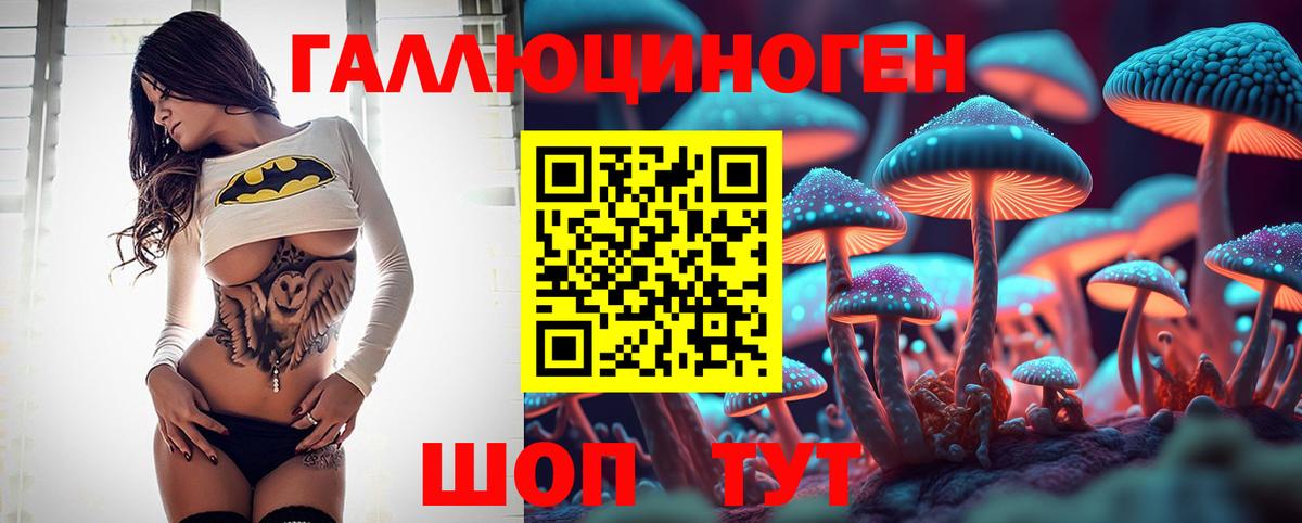 Родники  Галлюциногенные грибы Psilocybe  Вход с VPN 