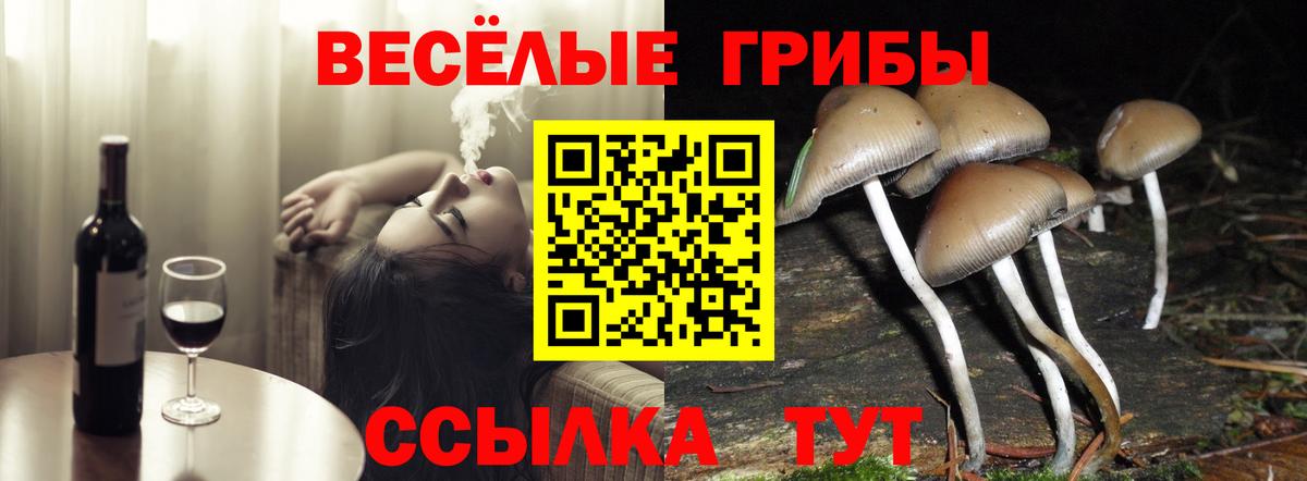 Галлюциногенные грибы ЛСД  Галлюциногенные грибы Cubensis  Родники 